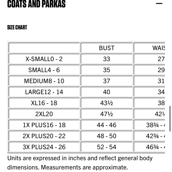 Carhartt Acid Wash Denim Chore Jacket Vintage Inspired, NWT - Picture 6 of 7